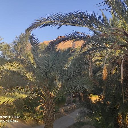 Bar Suite Ein Gedi Zewnętrze zdjęcie