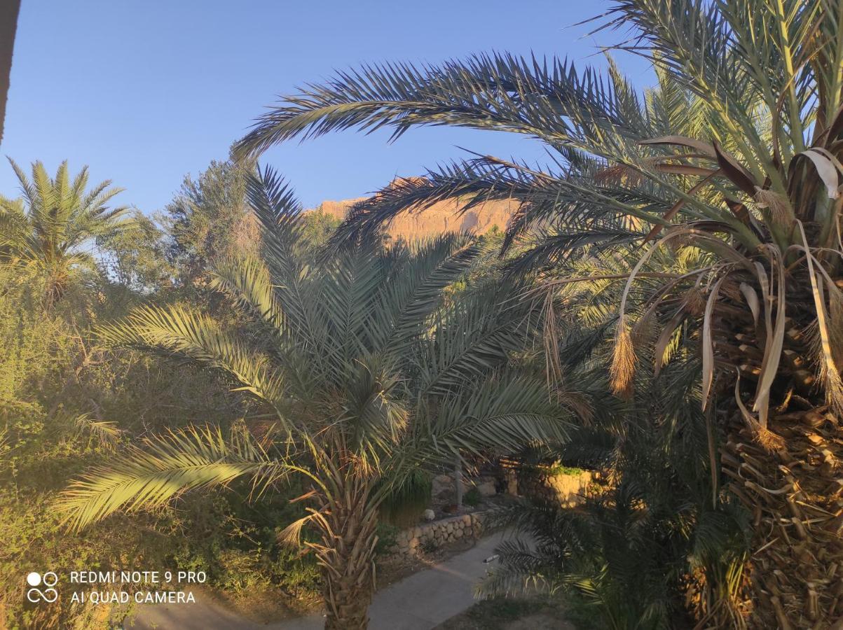 Bar Suite Ein Gedi Zewnętrze zdjęcie